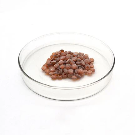 Gummi Antioxidant RD