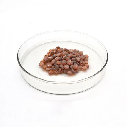 Gummi Antioxidant TMQ